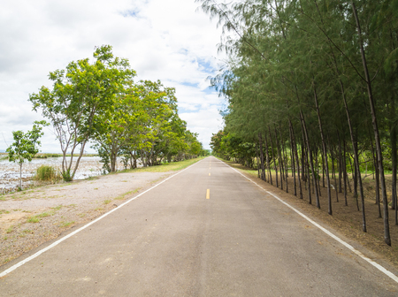 Empty road and tree in country of thailandの写真素材
