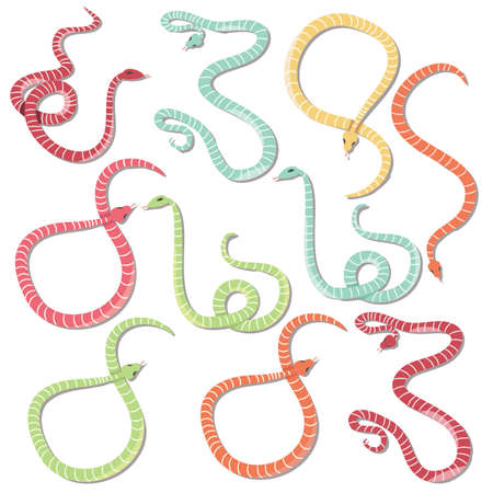 Collection of ten colorful striped snakes hand drawn, vector illustrationのイラスト素材