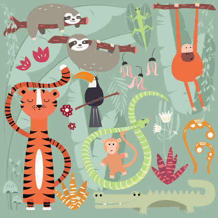 Collection of cute rain forest animals, tiger, snake, sloth, monkey, vector illustrationのイラスト素材