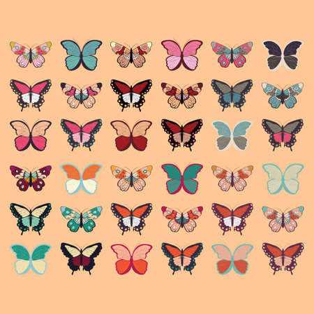 Collection of thirty six colorful hand drawn butterflies, orange background, vector illustrationのイラスト素材