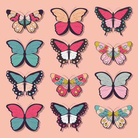 Collection of twelve colorful hand drawn butterflies, pink background, vector illustrationのイラスト素材