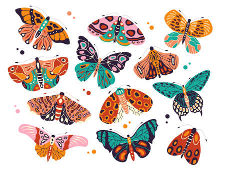 Collection of colorful hand drawn butterflies and moths on white background. Stylized flying insects with decorative elements, vector illustration.のイラスト素材