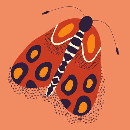 Colorful hand drawn moth illustration. Stylized flying insects, decorative elements, vector illustration.のイラスト素材