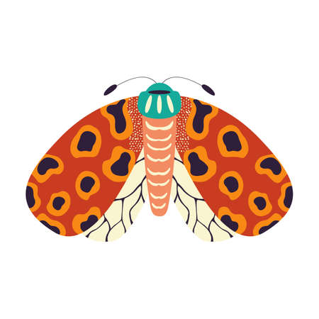Colorful hand drawn moth illustration on white background. Stylized flying insects, decorative elements, vector illustration.のイラスト素材