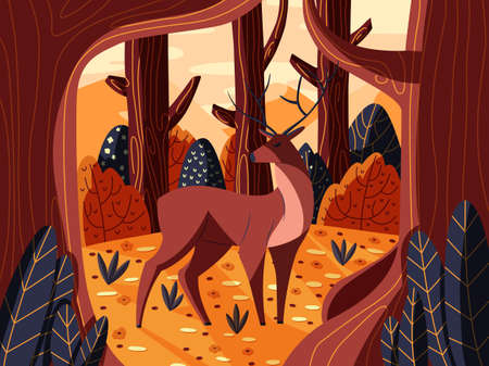 Colorful illustration portrait of beautiful red deer stag in forest at sunrise. Hand drawn wild animal. Vector.のイラスト素材
