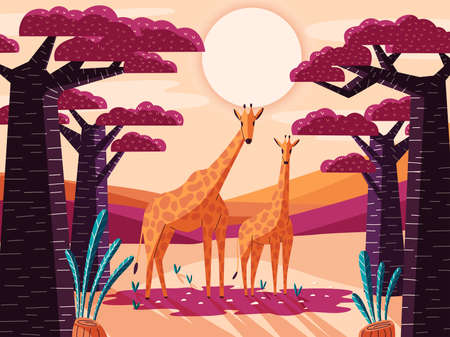 Beautiful natural savannah landscape with giraffes and baobab trees. Panoramic colorful illustration with wild animals. Exotic scenery of African nature.のイラスト素材