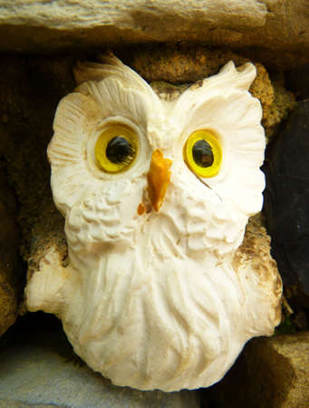 whithe stone owlの写真素材