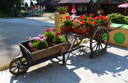 floral embellishmentsの写真素材