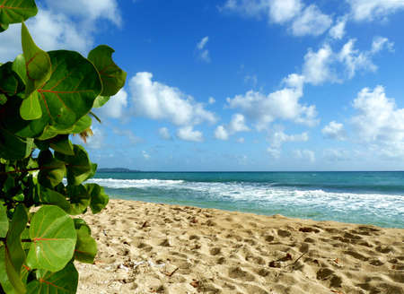 Footprints on the beach