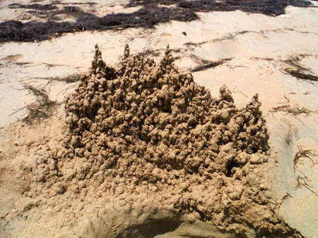 Sandcastleの写真素材