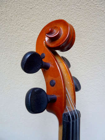 violin stringsの写真素材