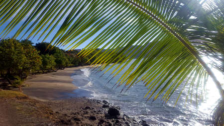 View of a Caribbean beachの写真素材