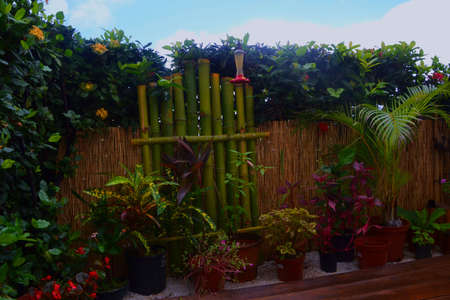 Home gardenの写真素材