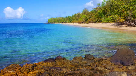 Uncontaminated paradiseの写真素材