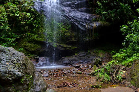 Waterfall and wild natureの写真素材