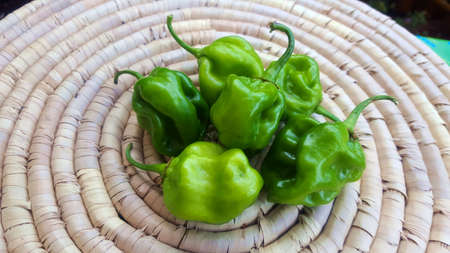 Green chiliesの写真素材
