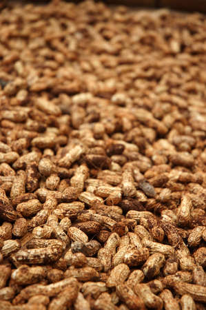 peanutの写真素材