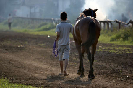 brown horse and a manの写真素材