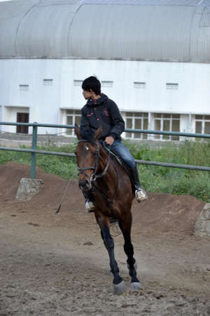 bandung, indonesia-may 31, 2014-young boy learn to riding a horse in arcamanik horse race arenaのeditorial素材