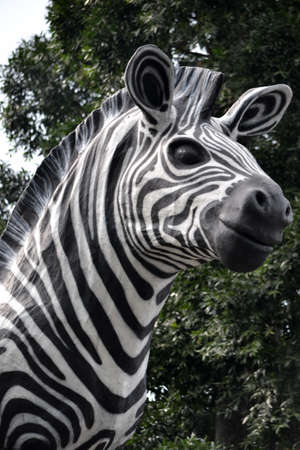 zebra ornamentの写真素材
