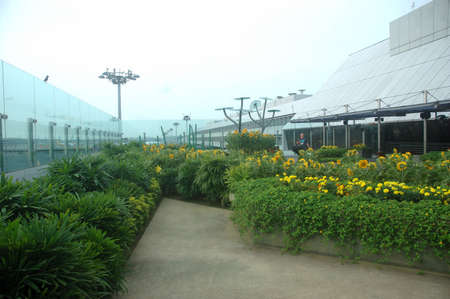 Singapore, Singapore - January 17, 2014: Sunflower garden at Changi International Airport, Singapore.のeditorial素材