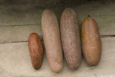 Ripe Cucumbersの写真素材