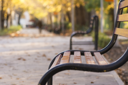 Vintage curvy metal bench, park outdoor autumn sceneの写真素材