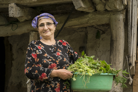 Portrait of an elderly woman picking a green plassstic wash tub full of fresh herbal vegetablesの写真素材