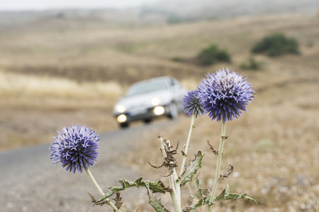 Mountain side road, car passing through road, Gilan provinceの写真素材