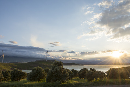 Electric wind generator turbine at sunset, wind energy farm, environmentally friendly electricity...