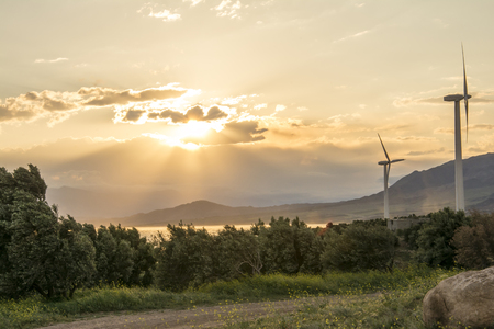 Electric wind generator turbine at sunset, wind farmの写真素材