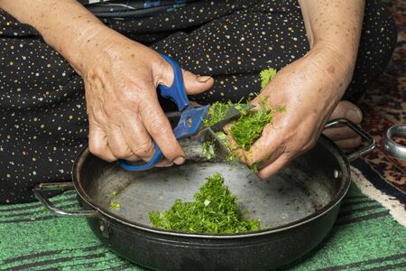 Muslim woman cut by scissor a bunch of springtime fresh dill plants in hands for preparing food, organic home grown produceの写真素材