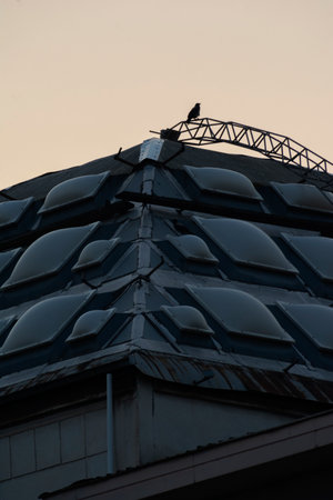 A crow on top of a modern buildingの写真素材