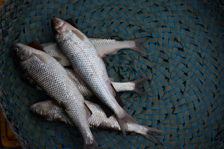 Some fresh fishes in basket for retail sale at bazaarの写真素材