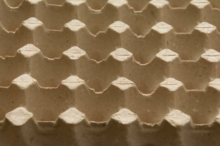 Empty egg cardboard tray