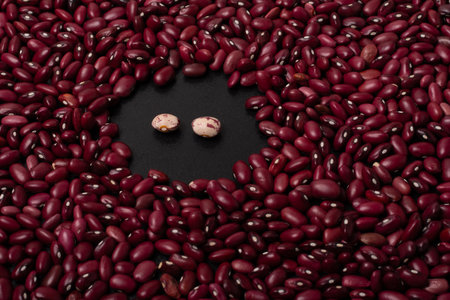 Beans talk texture pattern background, top viewpointの写真素材