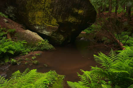 Czech Switzerland  の写真素材