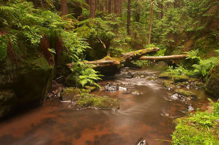 Czech Switzerlandの写真素材