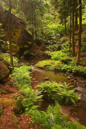 Czech Switzerlandの写真素材