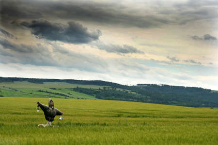 Man of strawの写真素材