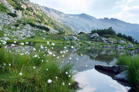 The glacial lake in bulgarian mountains (Rila)の写真素材