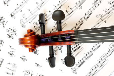 Violinの写真素材