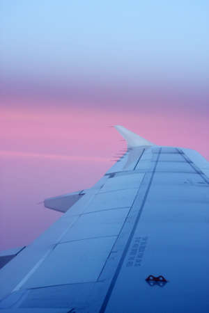 Flight - sunset
