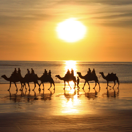 sunsetの写真素材