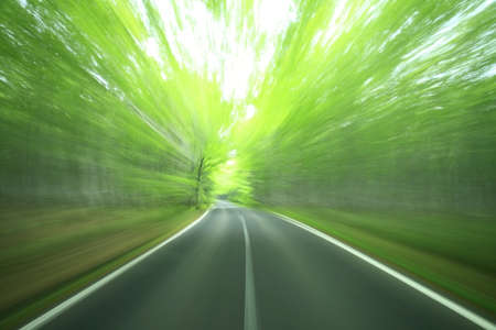 forest drive