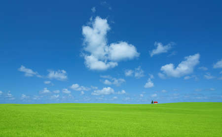 Green grass and red roof houseの写真素材