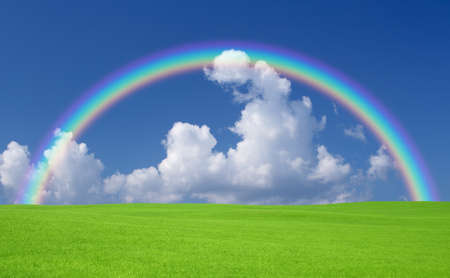 Green grass and skyの写真素材