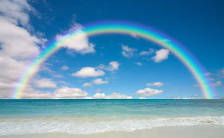 beach 
の写真素材