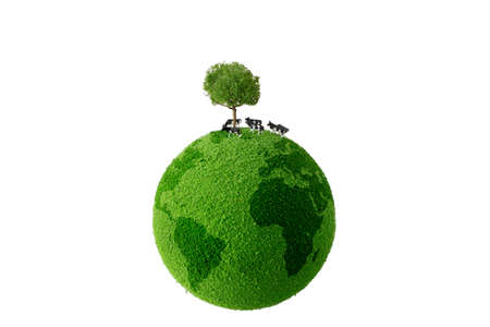 Calf standing on green earthの写真素材