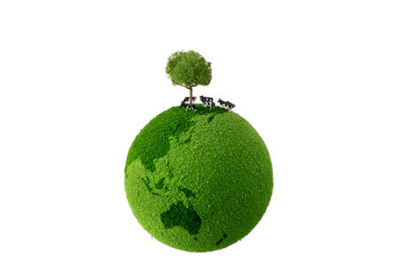 Calf standing on green earthの写真素材